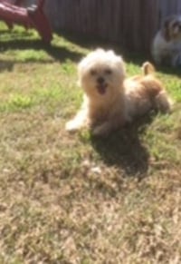 Winky in RI - Photo 3