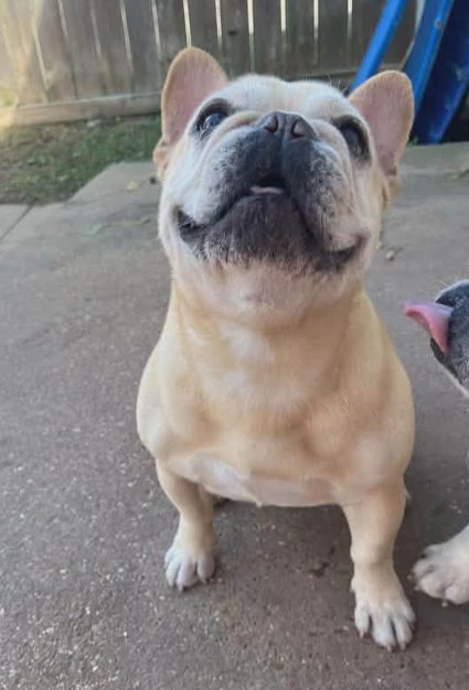 Ziva in RI - Photo 3