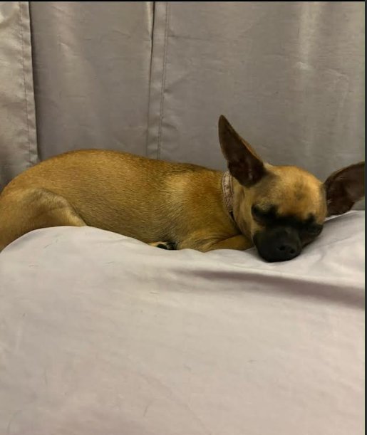 Gracelynn in LA Image