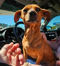 Kit Kat in LA - Photo 3