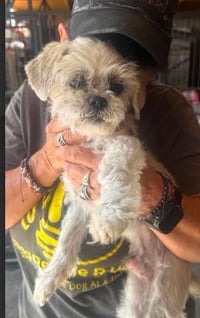 Bob in TX - Photo 2