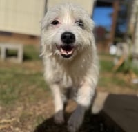 Flora Mae in TX - Photo 3