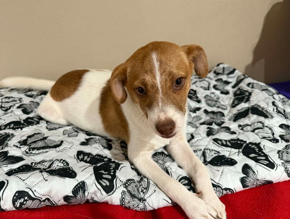 Jackie in TX - Photo 3