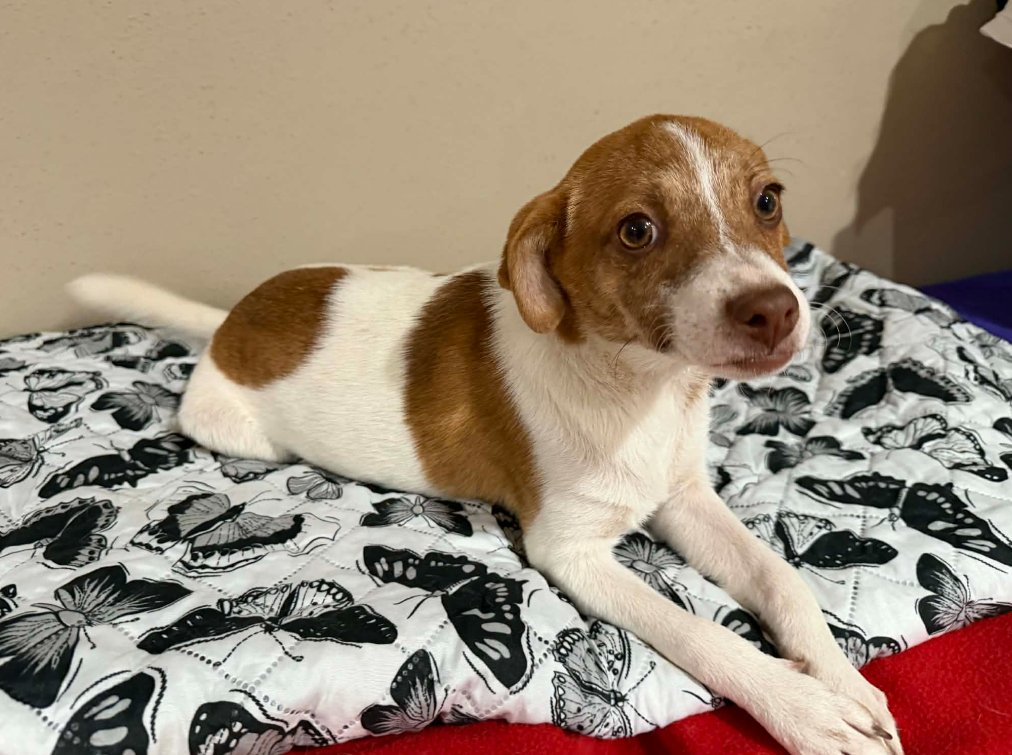 Jackie in TX - Photo 4