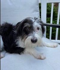 Holly in  RI - Photo 4