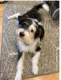 Holly in  RI - Photo 6