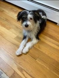 Holly in  RI - Photo 8