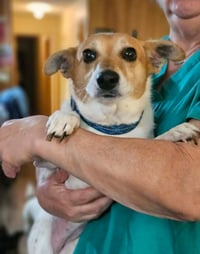 Rumi in LA - Photo 3