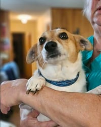 Rumi in LA - Photo 4