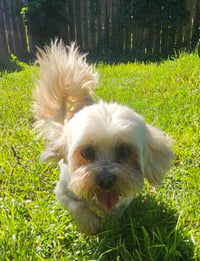 Dwight in TX - Photo 3