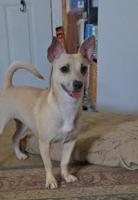 Sarah in TX - Photo 3