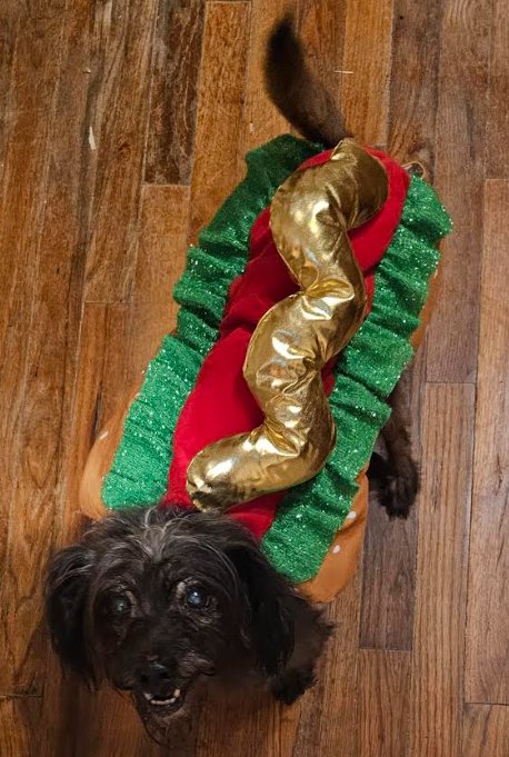 Jazz in TX - Photo 5