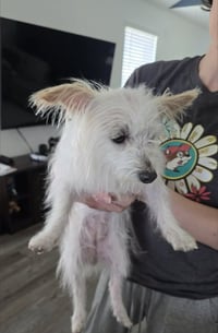 Natalie in TX - Photo 2