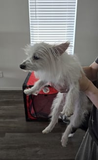 Natalie in TX - Photo 3