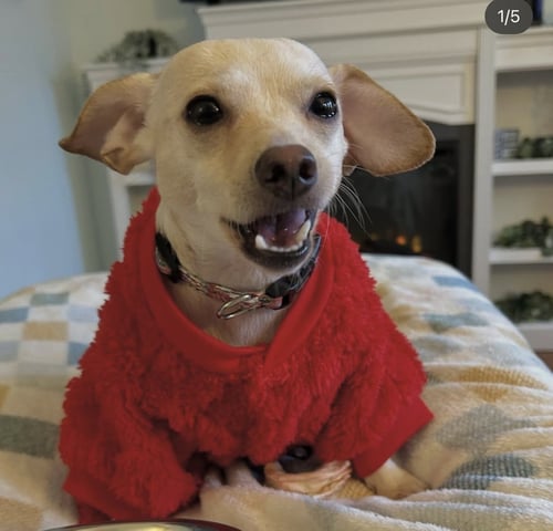 CLEO IN RI