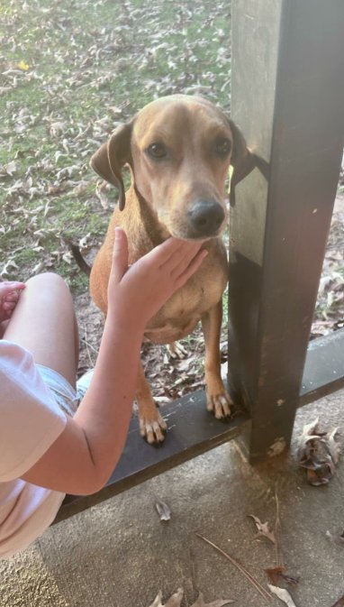 Melody in LA - Photo 4