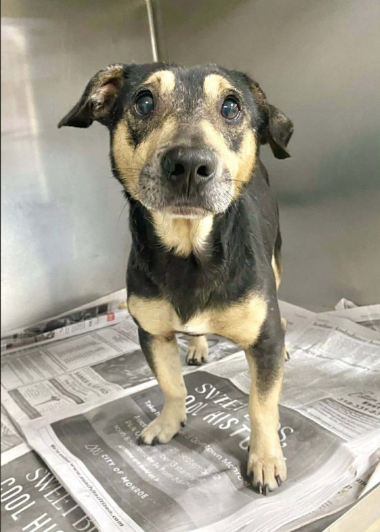 PeePaw in RI - Photo 1