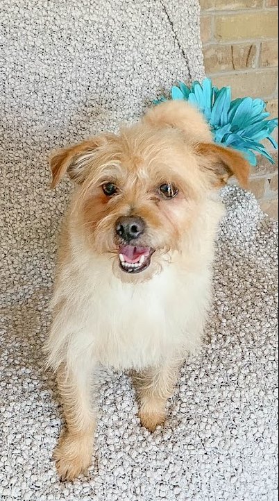 Benji Nick in RI - Photo 4