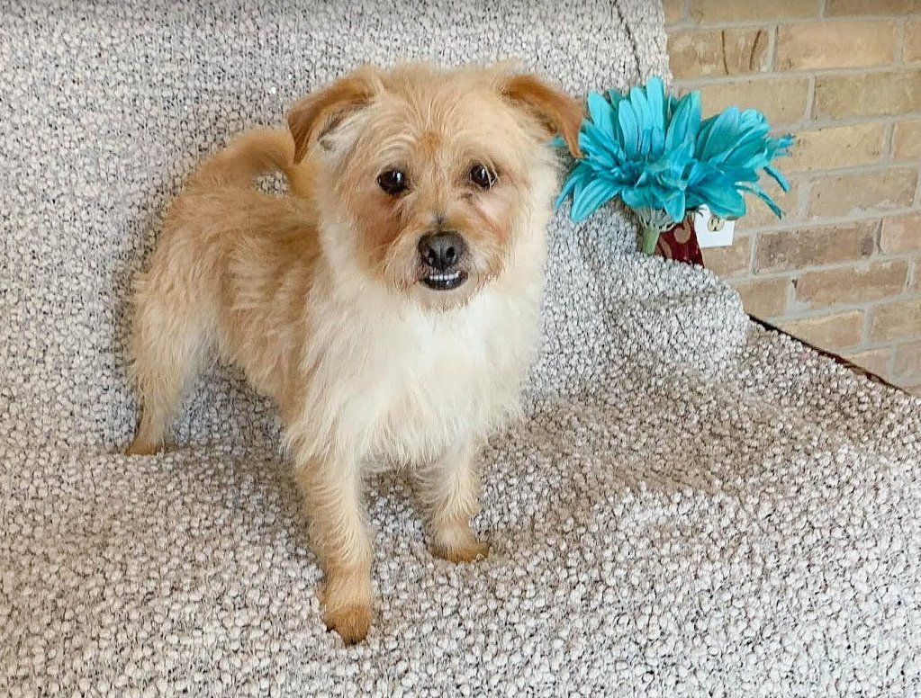 Benji Nick in RI - Photo 5