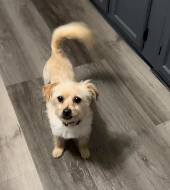 Benji Nick in RI - Photo 8