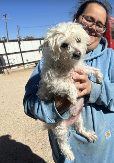 Chloe in TX - Photo 3