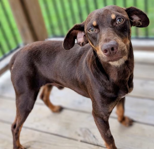 Wesson in TX Image