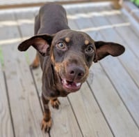 Wesson in TX - Photo 2