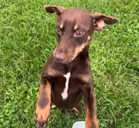 Wesson in TX - Photo 3