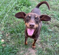 Wesson in TX - Photo 4