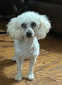 Gabriel in TX - Photo 3