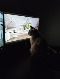 Stormi - Photo 3