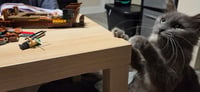 Stormi - Photo 4