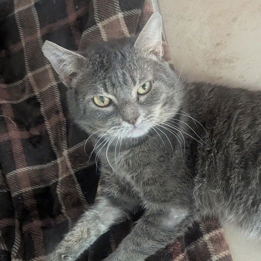 Bob (aka Bobby) - Photo 3