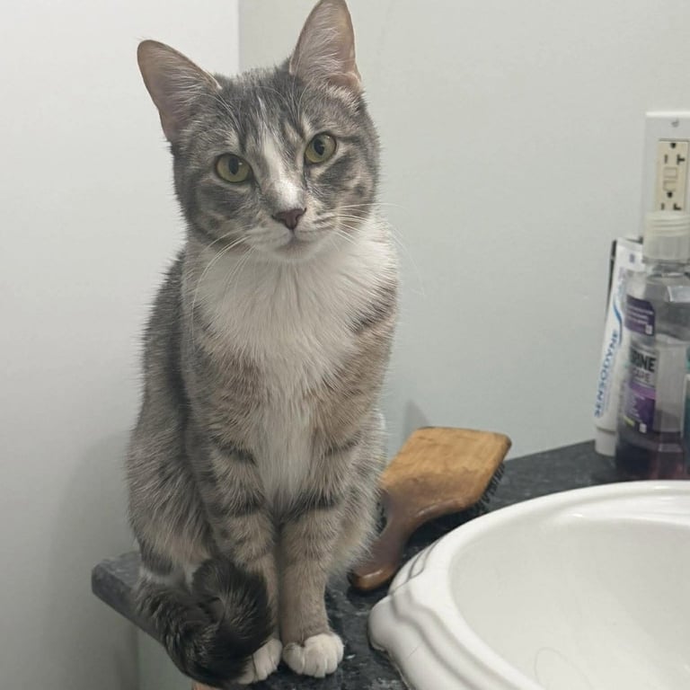 Leah Image