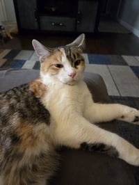 Maxine - Photo 3