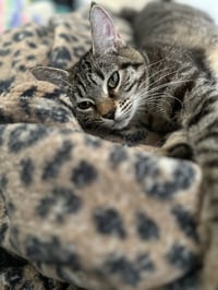 Bonnie - Photo 2