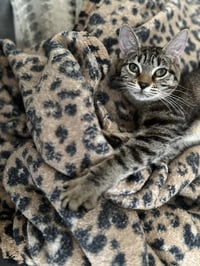 Bonnie - Photo 3