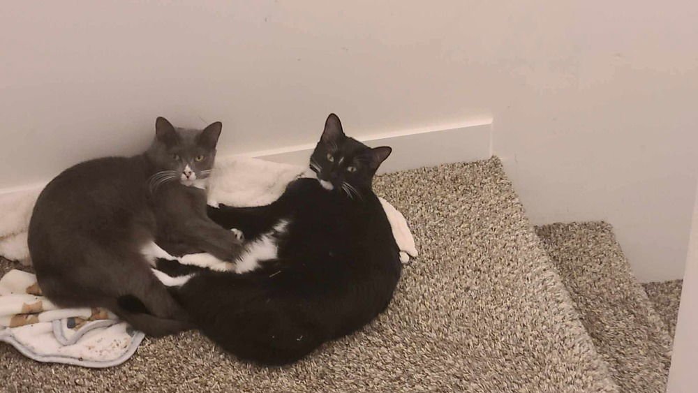 Rachel (aka Monico) - Photo 3