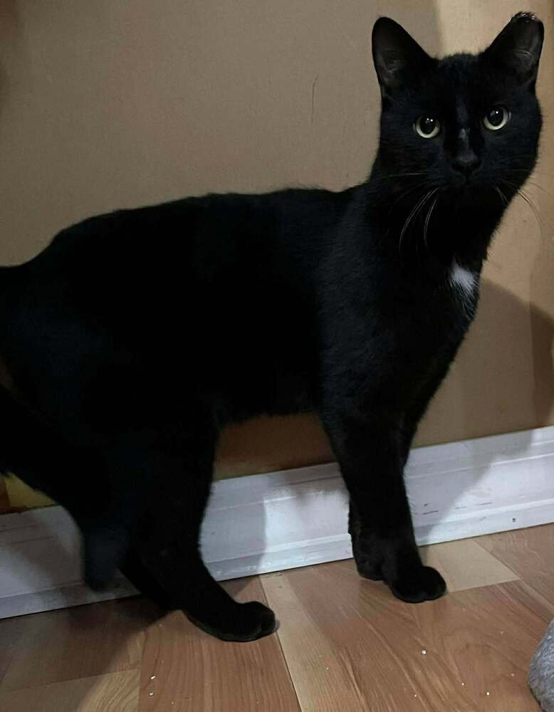 Boris Buck - Photo 3