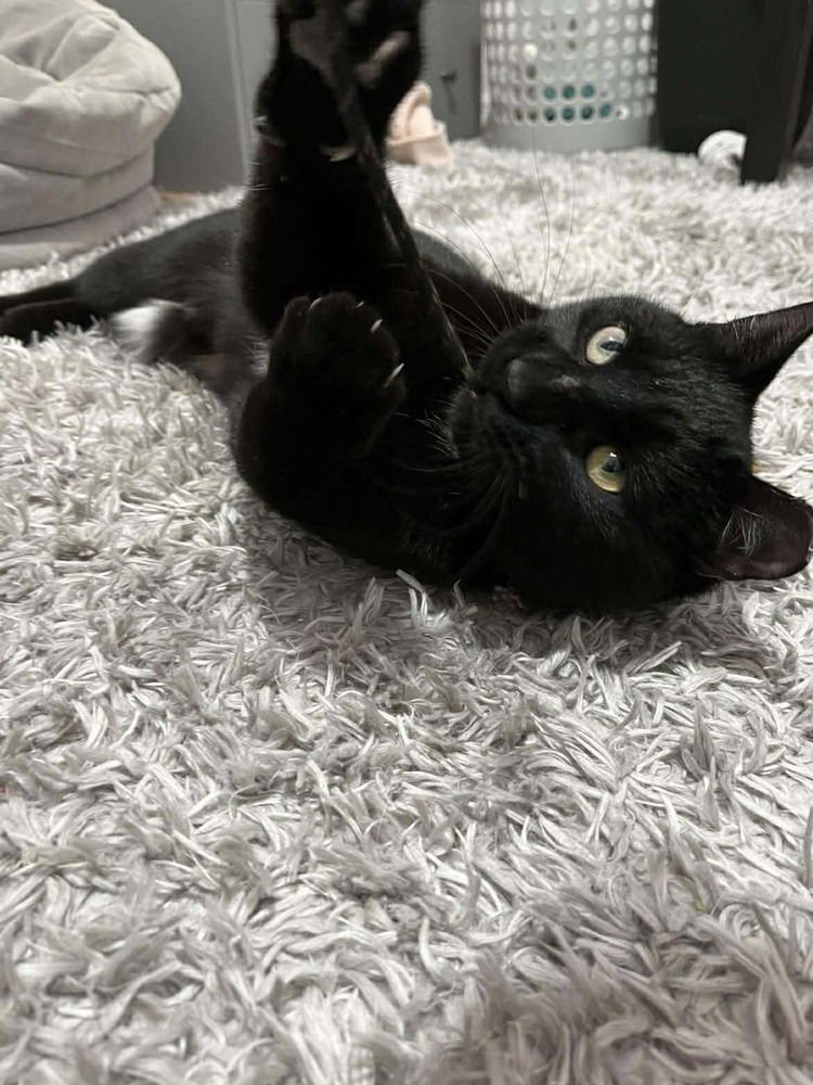 Boris Buck - Photo 4