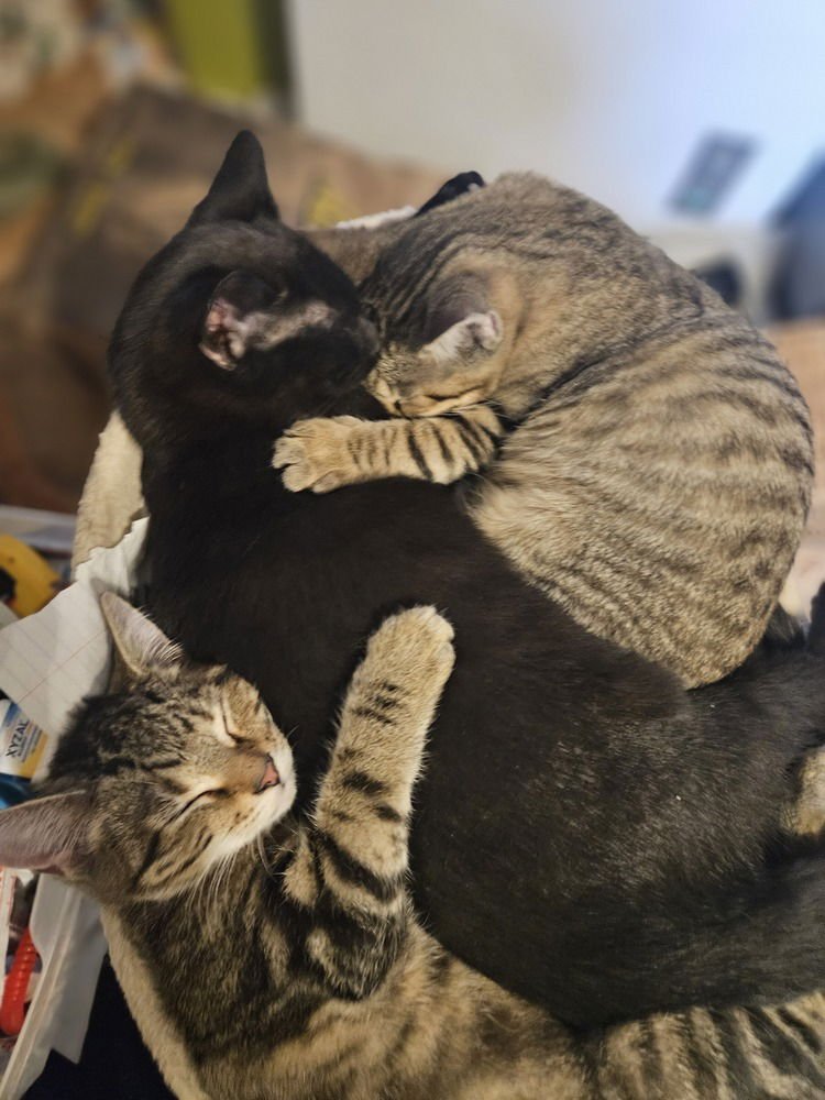 Arnold Palmer - Photo 4