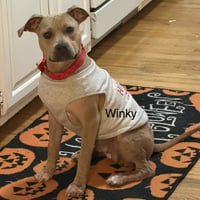 Winky - Photo 4