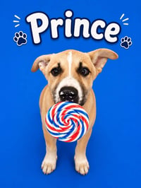 Prince - Photo 3