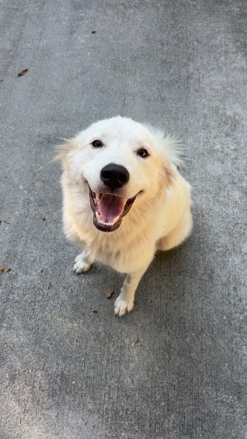 ALASKA