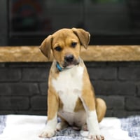 Sully - Photo 1