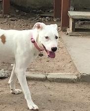 Lady - Photo 3