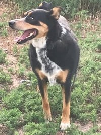 Smooks - Photo 3