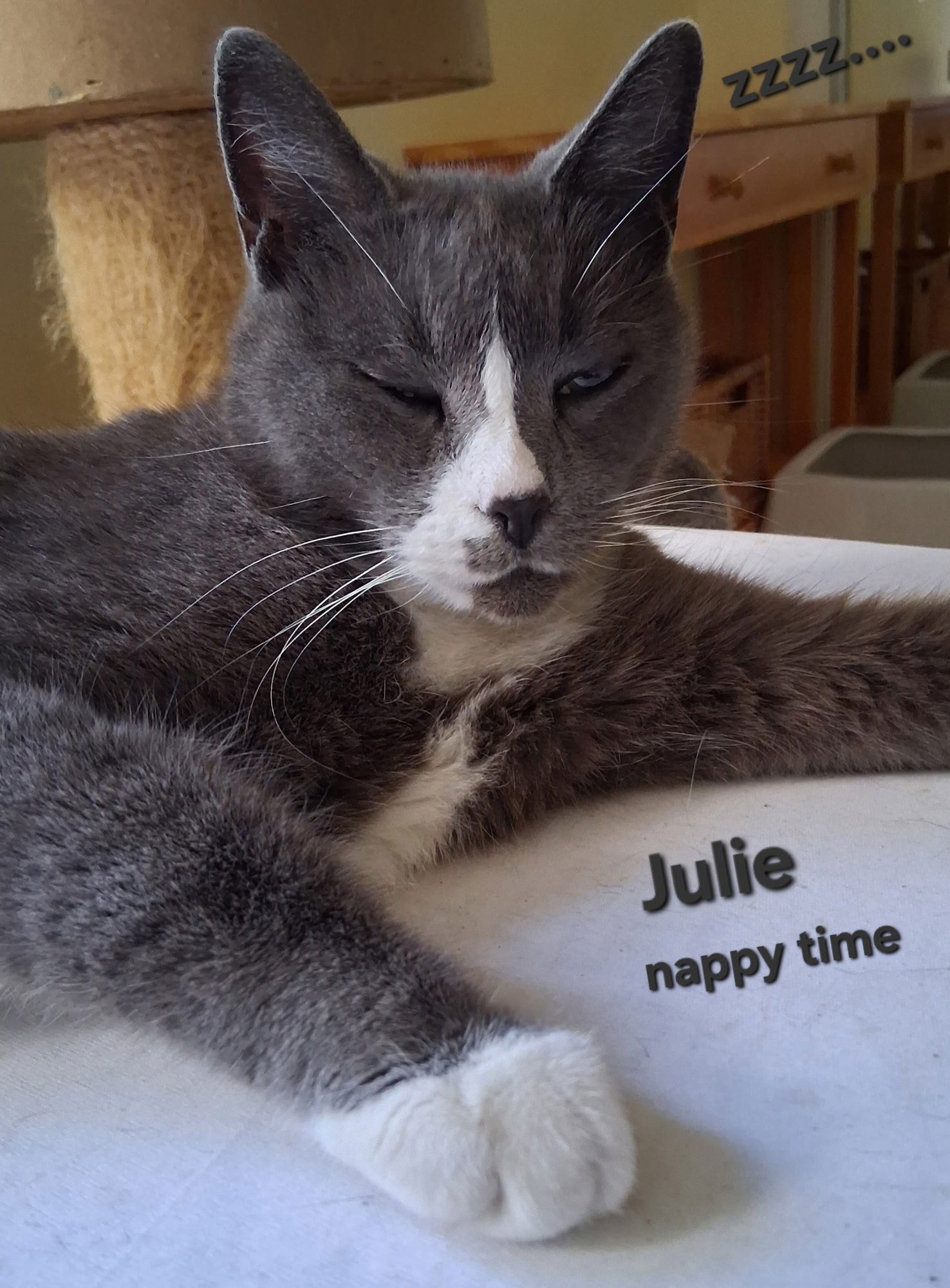 Julie - Photo 4