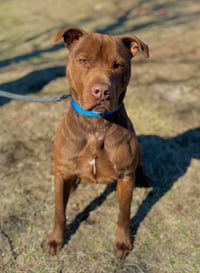 Rylo - Photo 3