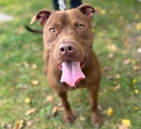 Rylo - Photo 5
